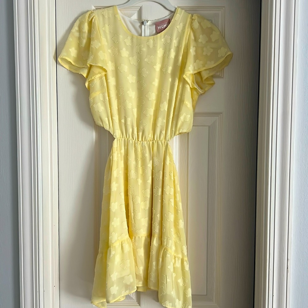 Show and Your Mumu Merritt Mini Dress